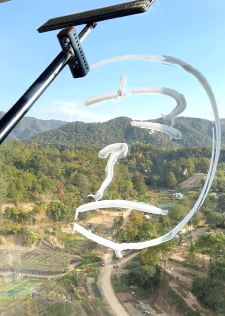 360° Swivel Wet and Dry Mop