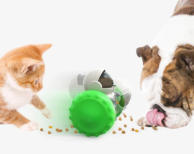 Slow Feeding Pet Toy