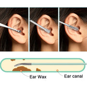 6Pcs/Set Ear Wax Pickers